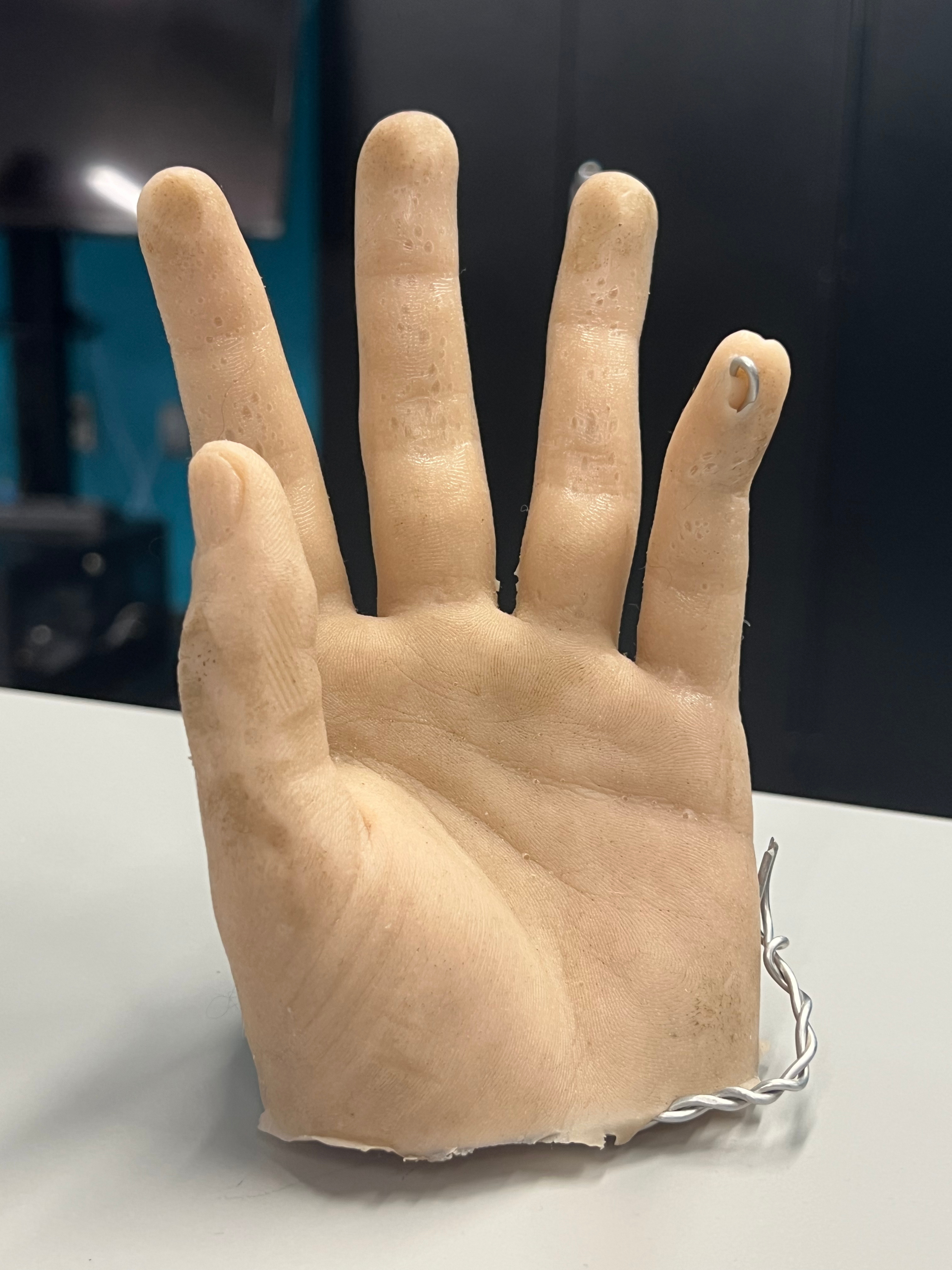  Special Effects Hand - raw - pliable - used for special effects